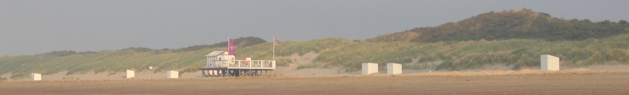 Am Strand von Vrouwenpolder